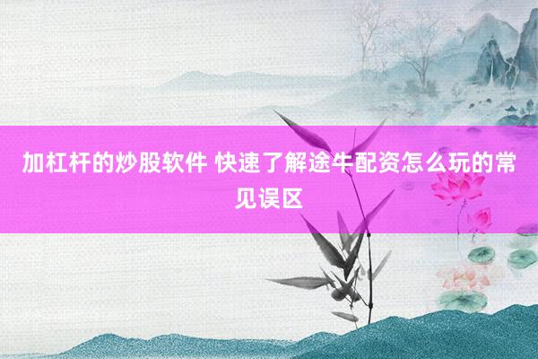 加杠杆的炒股软件 快速了解途牛配资怎么玩的常见误区