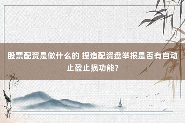 股票配资是做什么的 捏造配资盘举报是否有自动止盈止损功能？
