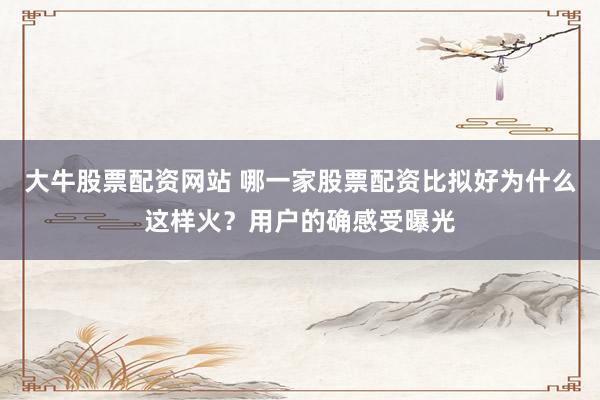大牛股票配资网站 哪一家股票配资比拟好为什么这样火？用户的确感受曝光