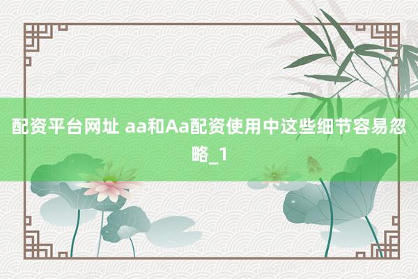 配资平台网址 aa和Aa配资使用中这些细节容易忽略_1