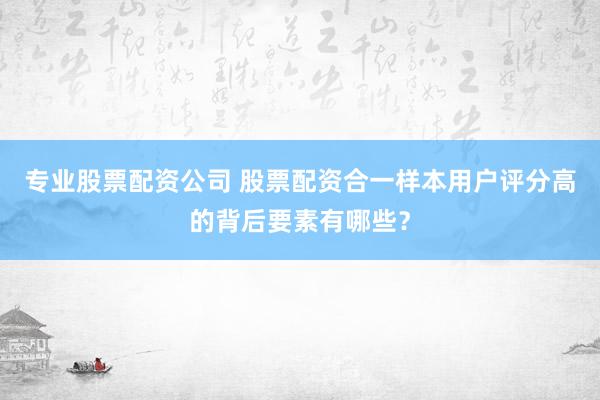 专业股票配资公司 股票配资合一样本用户评分高的背后要素有哪些？