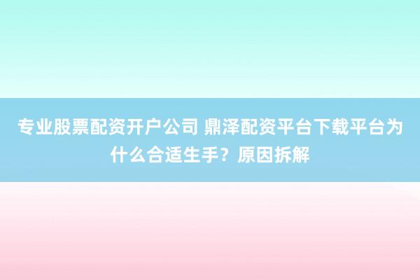 专业股票配资开户公司 鼎泽配资平台下载平台为什么合适生手？原因拆解