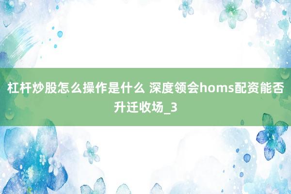 杠杆炒股怎么操作是什么 深度领会homs配资能否升迁收场_3
