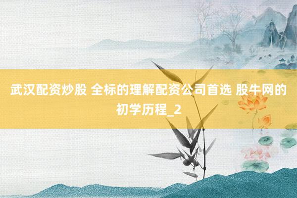 武汉配资炒股 全标的理解配资公司首选 股牛网的初学历程_2