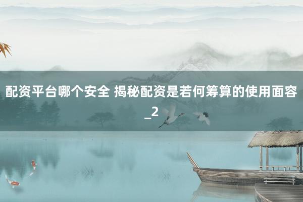 配资平台哪个安全 揭秘配资是若何筹算的使用面容_2