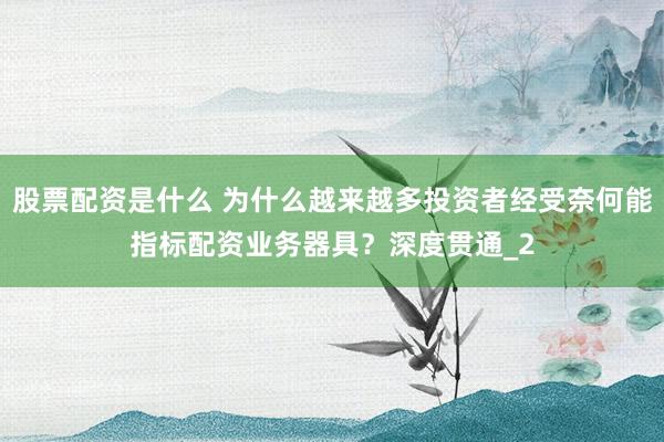 股票配资是什么 为什么越来越多投资者经受奈何能指标配资业务器具？深度贯通_2