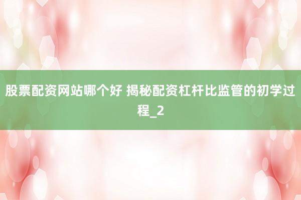 股票配资网站哪个好 揭秘配资杠杆比监管的初学过程_2